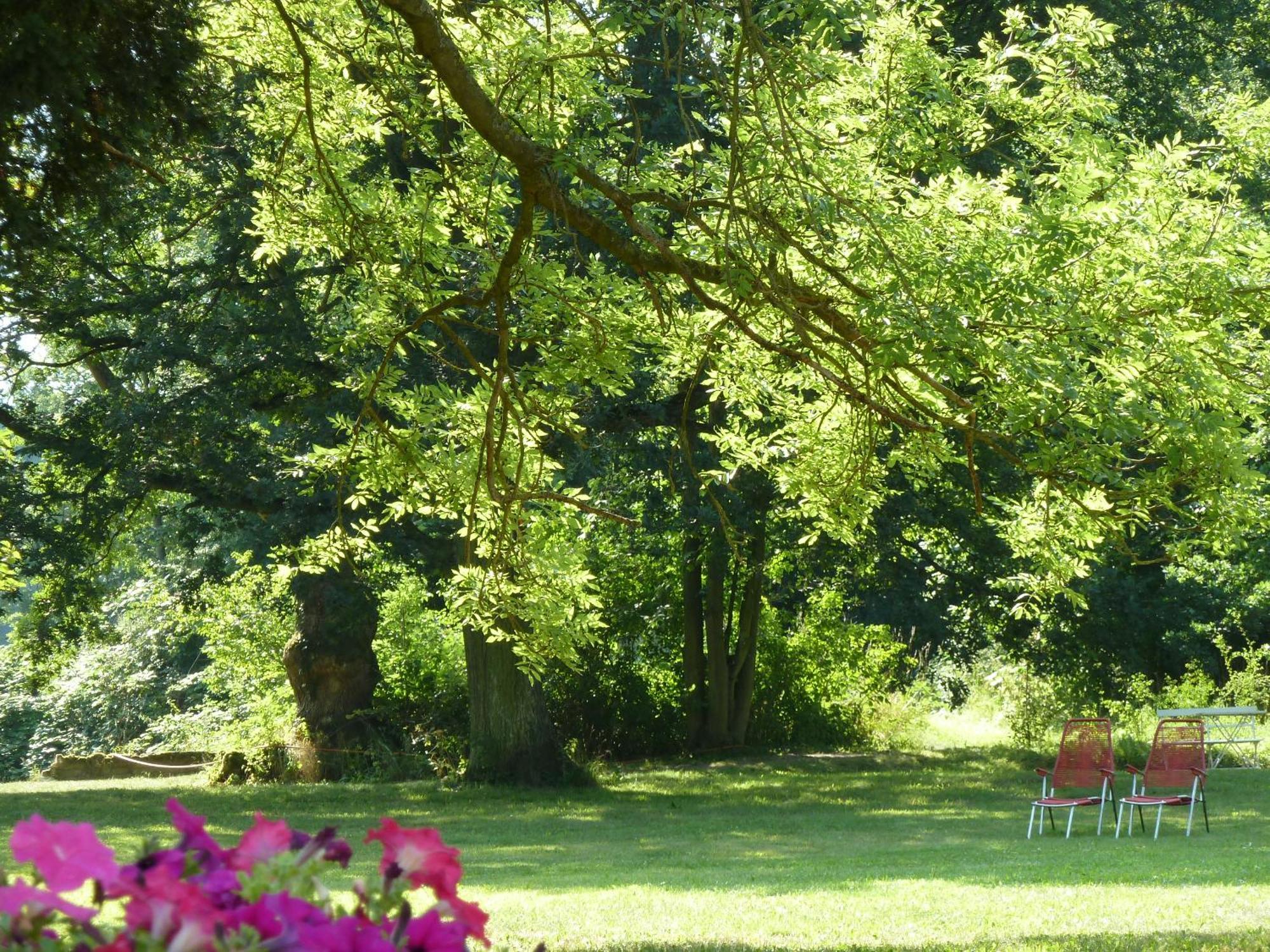 Villa Gut Pohnstorf *